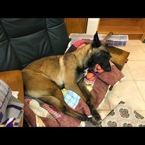 Meet your Posher, Karen